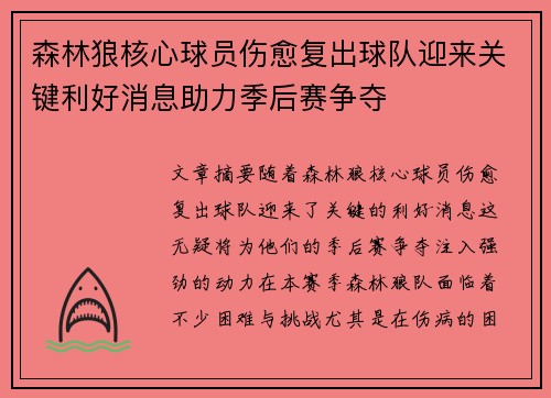 森林狼核心球员伤愈复出球队迎来关键利好消息助力季后赛争夺