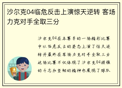 沙尔克04临危反击上演惊天逆转 客场力克对手全取三分 沙尔克04临危反击上演惊天逆转 客场力克对手全取三分