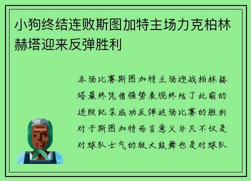 小狗终结连败斯图加特主场力克柏林赫塔迎来反弹胜利